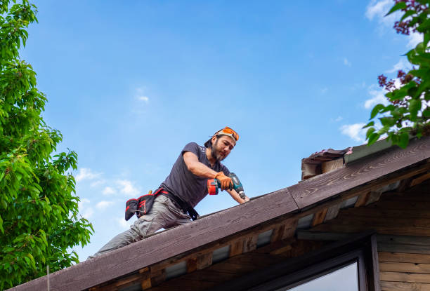 Sheet Metal Roofing in Rainbow Lakes Estates, FL